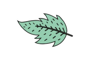 Teal Leaf: A Designer’s Review for Custom Gifts