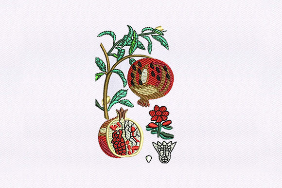 Vines Pomegranate: A Seller’s Review